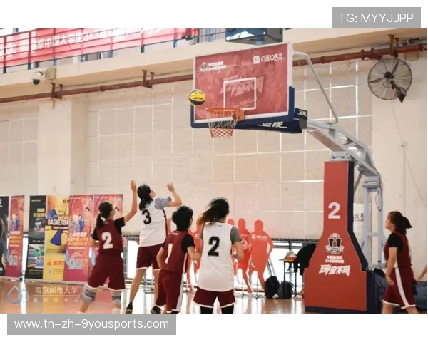 篮球赛事志愿者服务体系全面优化，提升赛场形象，篮球赛志愿者申请理由